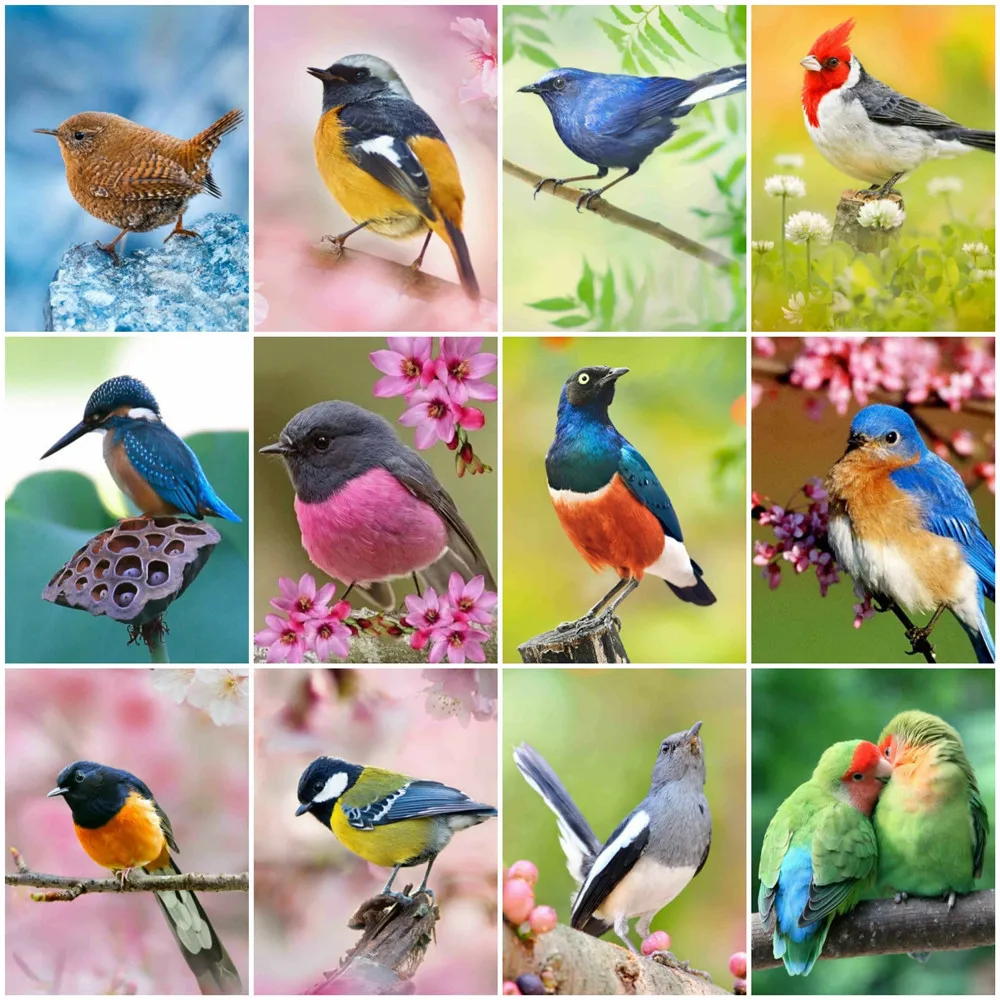 

HUACAN 5D Diy Diamond Painting Animal Bird Diamond Mosaic Parrot Cross Stitch Kits Home Decoration Wall Stickers