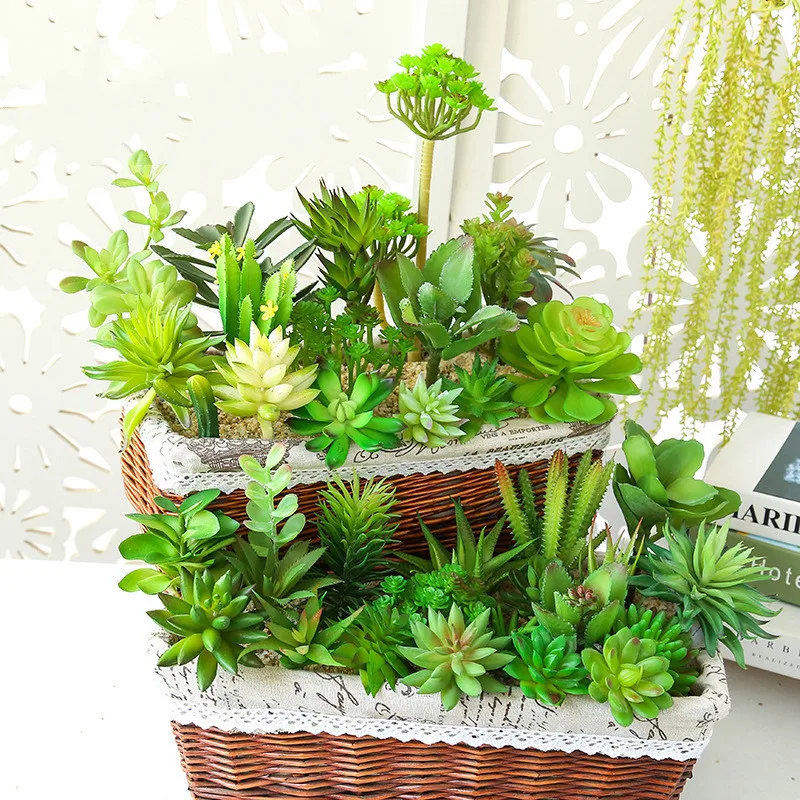 Зеленые искусственные суккуленты украшение для отеля свадебные растения