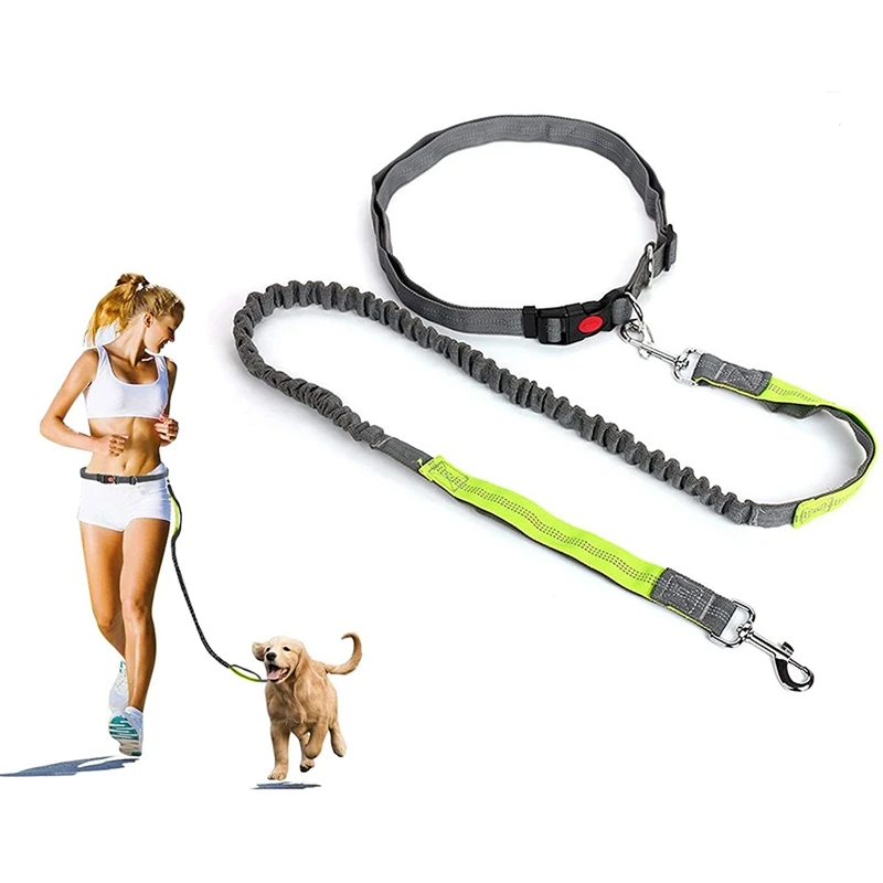 Hands Free Dog Leash Retractable Running Elastic Bungee Belt Jogging Lead with Waist | Дом и сад