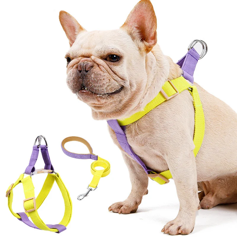 

Dog Harness And Leash No Pull Nylon Pet Leashes For Small Dogs French Bulldog Lead Leash And Collar Set For Yorkies