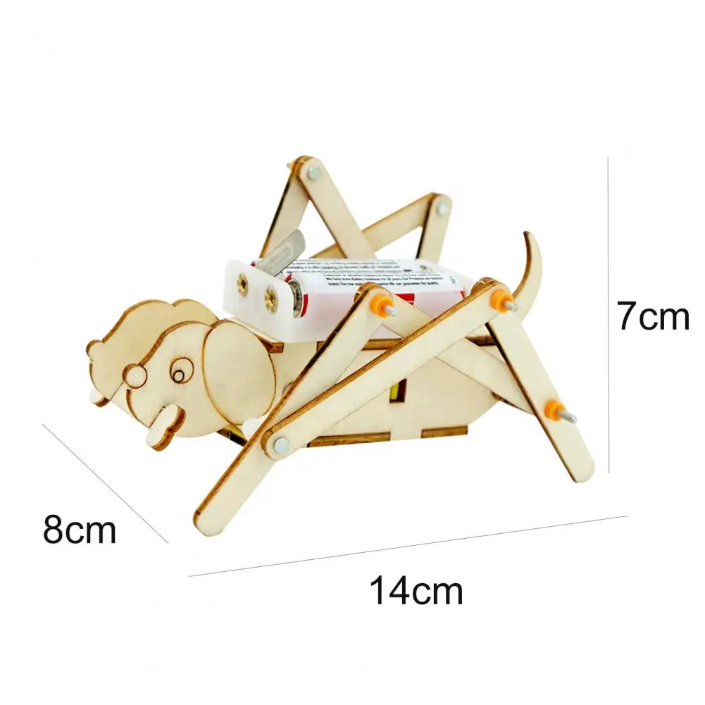 

Handmade Toy Practical Ability Observation Wood Physical Science Learning Kit Toy Kids 3D Paper Model DIY Handmade Craft Toys