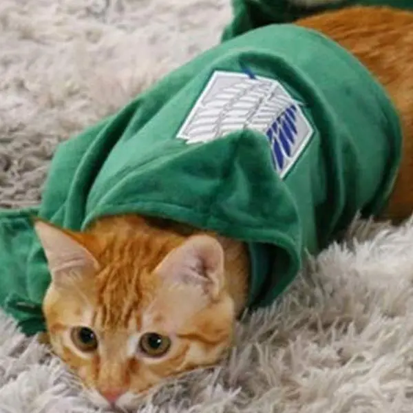 Anime pet clothes Attack on Titan cat dog cape Fashion Costume investigation team supplies photo props Shingeki NoKyojin |