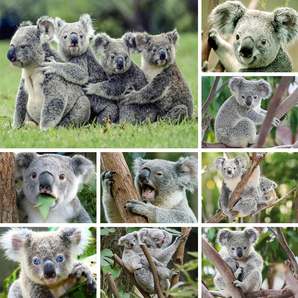 

5D DIY Diamond Painting Animal Koala Rhinestone Art Picture Full Square Full Diamond Embroidery Gift Mosaic Home Decoration Kit