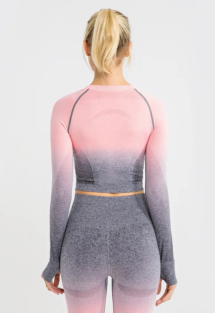 Shark Women Ombre Cropped Seamless Long Sleeve Top Crop Top Women Workout Shirts for Women Sports Tops Women Gym