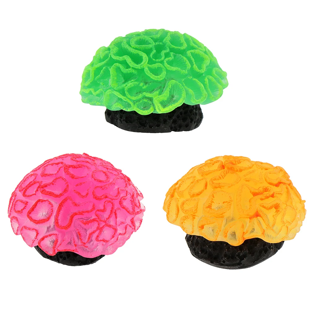 

Pet Products