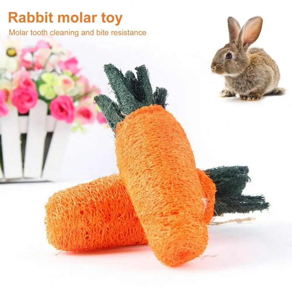 

Pet Toy Teeth Molar Toys Pet Chew Carrot Toy Rabbit Toy Lovely Pet Molar Toy Dog Supplies
