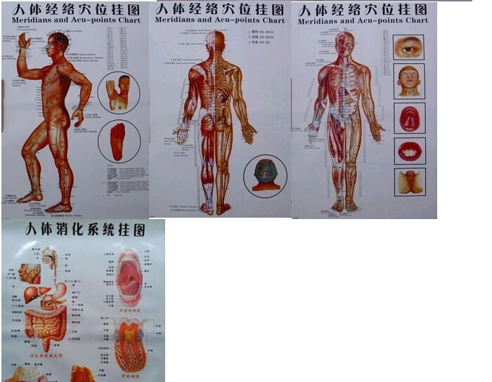Бесплатная доставка 10 шт. для скраппинга здоровья человека акупунктура