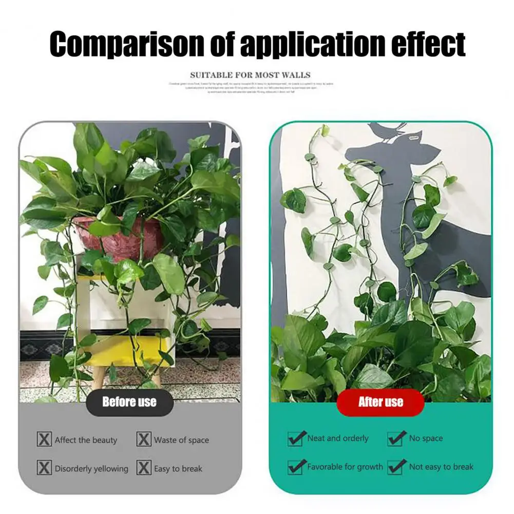 

Plant Climbing Clip Punch Free Not Easy Fall Off Plastic Wall Vines Fixture Clip for Home