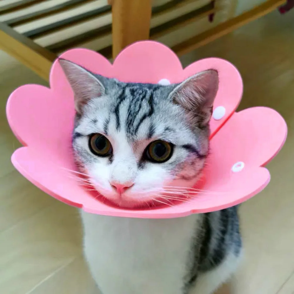 Ошейник для собак кошек с защитой от укусов круг-воротник | Дом и сад