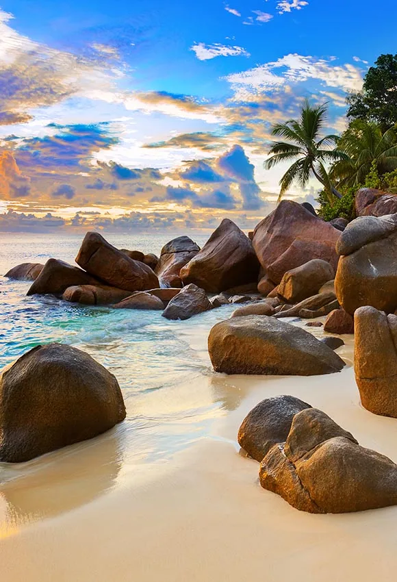 5X7 футов Красивые Сейшельские тропические пляжные закаты природа Пальма