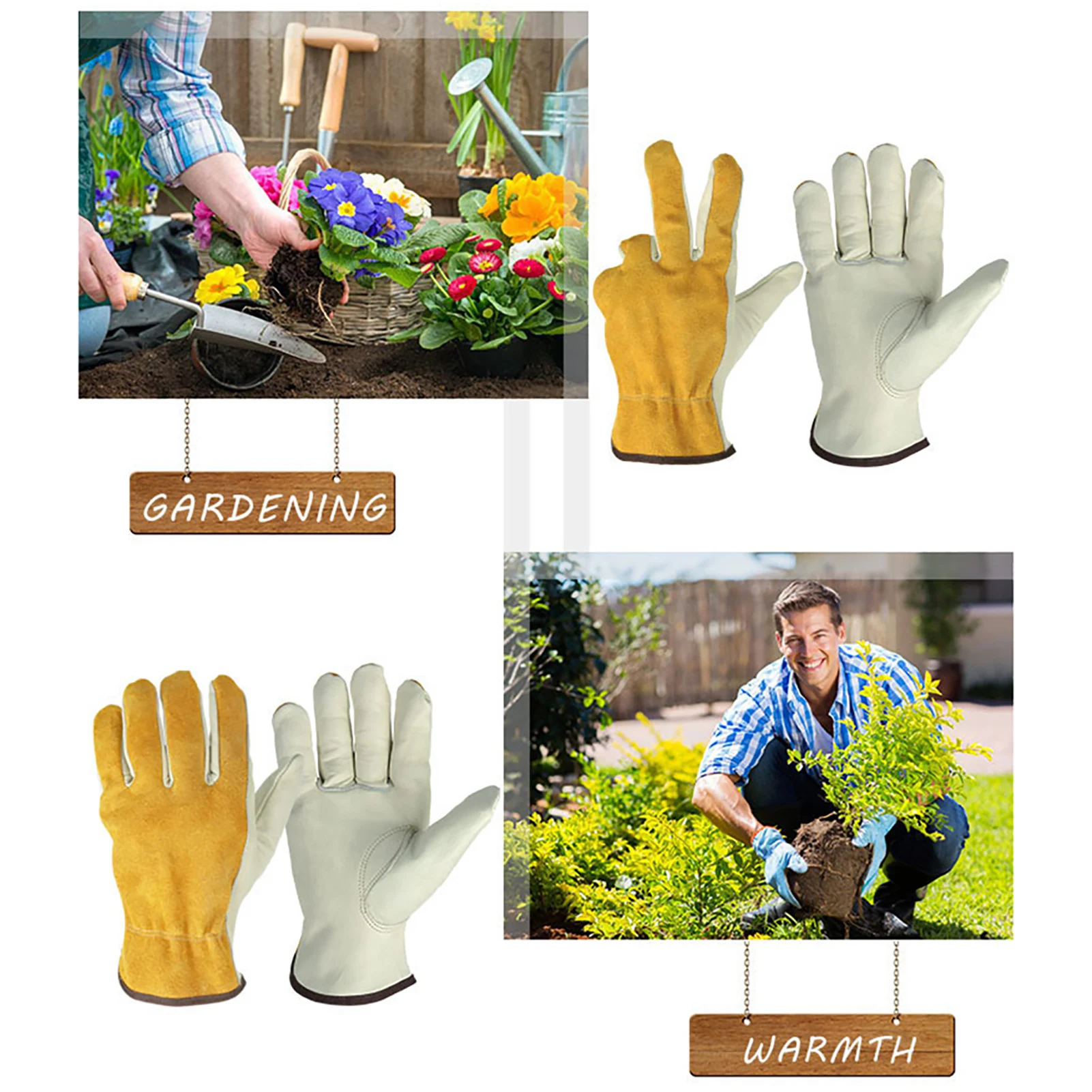 

Household Merchandises