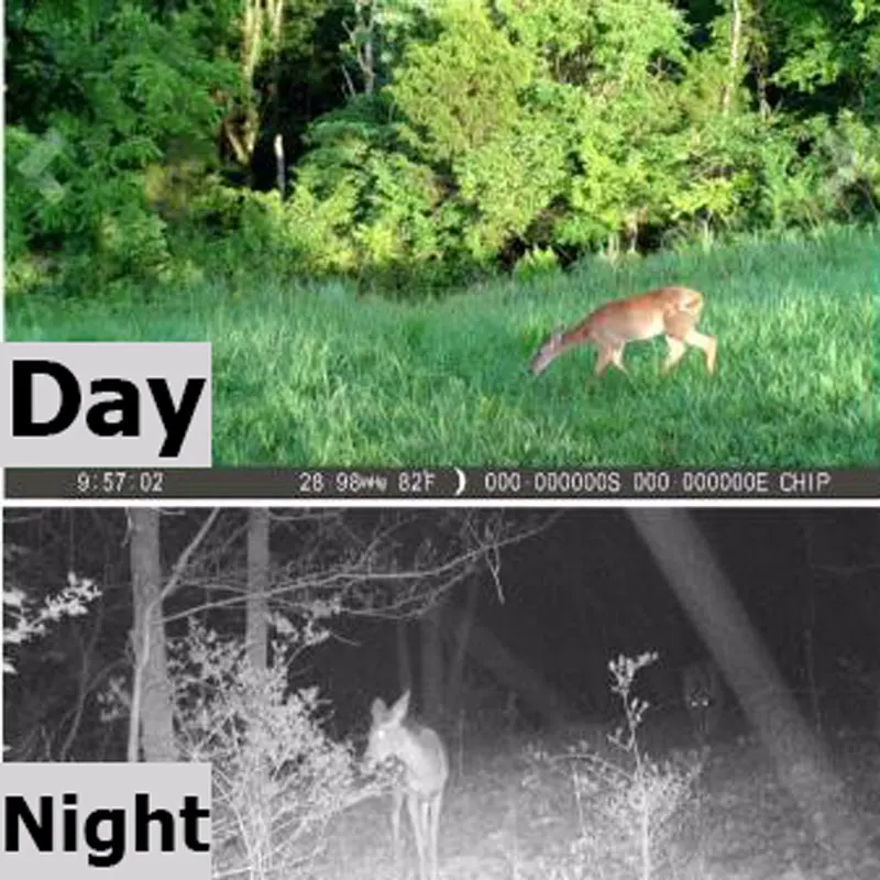 Hunting Camera HD 4K Photo Traps Night Vision Wildlife Infrared Trail Cameras Chasse Scout Outdoor Tool | Спорт и развлечения