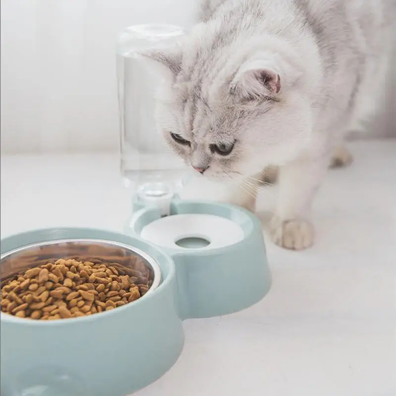

feed and bowls storage Drinker for cats anti-tipping automatic drinker non-wet mouth stainless steel double bowl