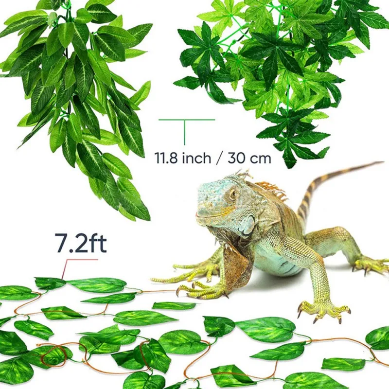 

Plant Reptile Breed Box Scenery Simulation Plant Rattan 3 Package 3 Green setting up to pet mature ecological environment