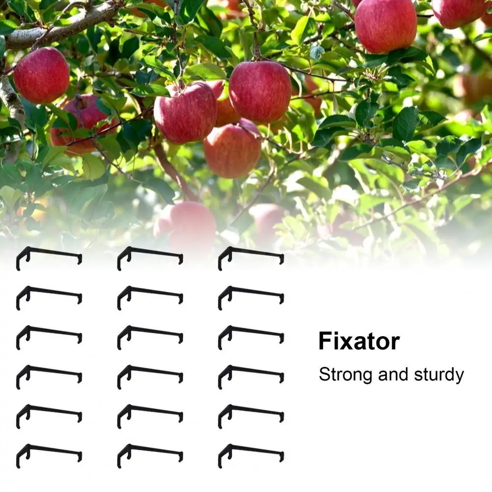 

Reliable Plastic Wide Application Adjustable Fruit Branch Spreader for Home