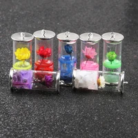 5pcs drifting bottle pendant color daisy dried flower transparent glass charms jewelry making diy necklace earrings accessories