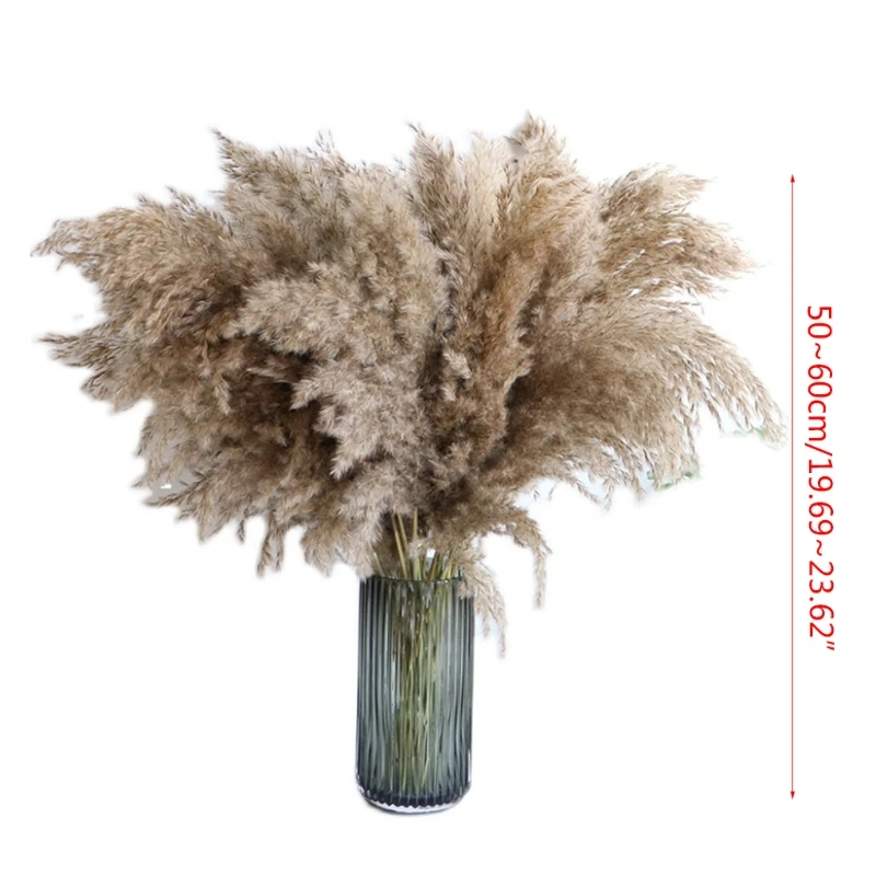 

50 Pcs Natural Dried Flowers Bouquet Reed Wheat Ears Setaria Natural Dried Flowers Bundles Home Office Cafe Decorative