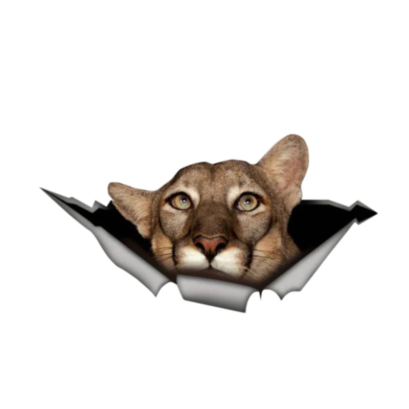 

Personality 3D Vinyl Waterproof Car Window High Quality Accessories Vinyl Motorcycle Decorative PVC 13cm X 7cm