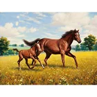 2021 Новое поступление, алмазная живопись своими руками, животные, лошадь, вышивка 5D, полная вышивка, алмазная вышивка, мозаика стразы, Рождественский подарок