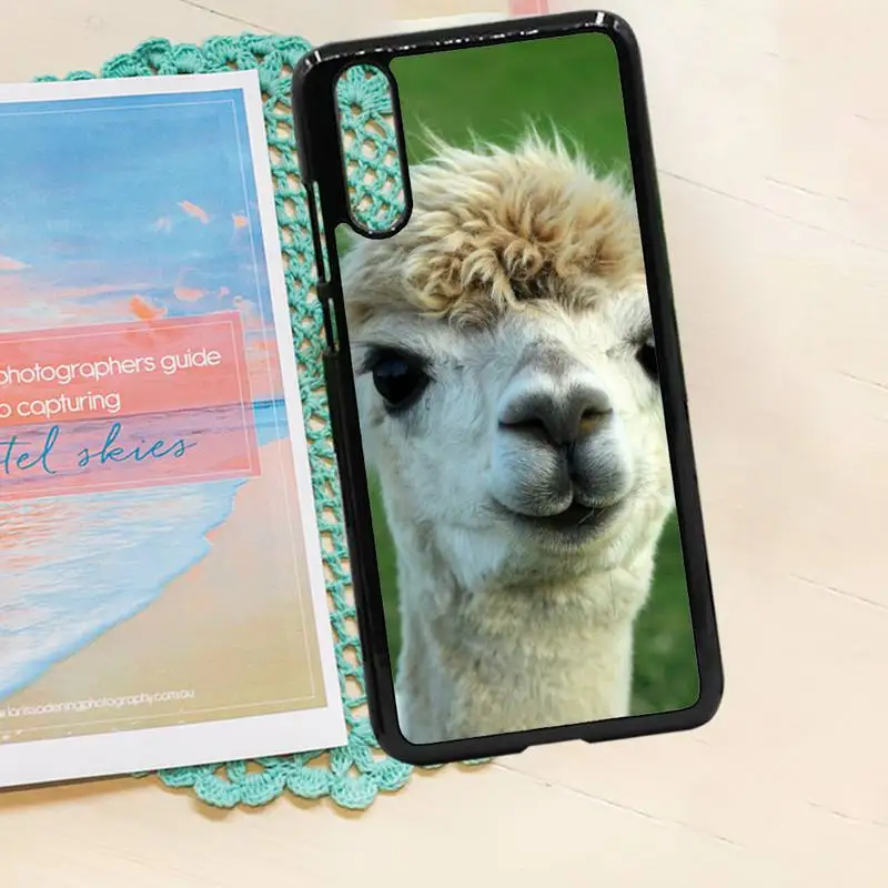 

Lama Alpacas cute Animal Phone Case PC for iPhone 11 12 pro XS MAX 8 7 6 6S Plus X 5S SE 2020 XR