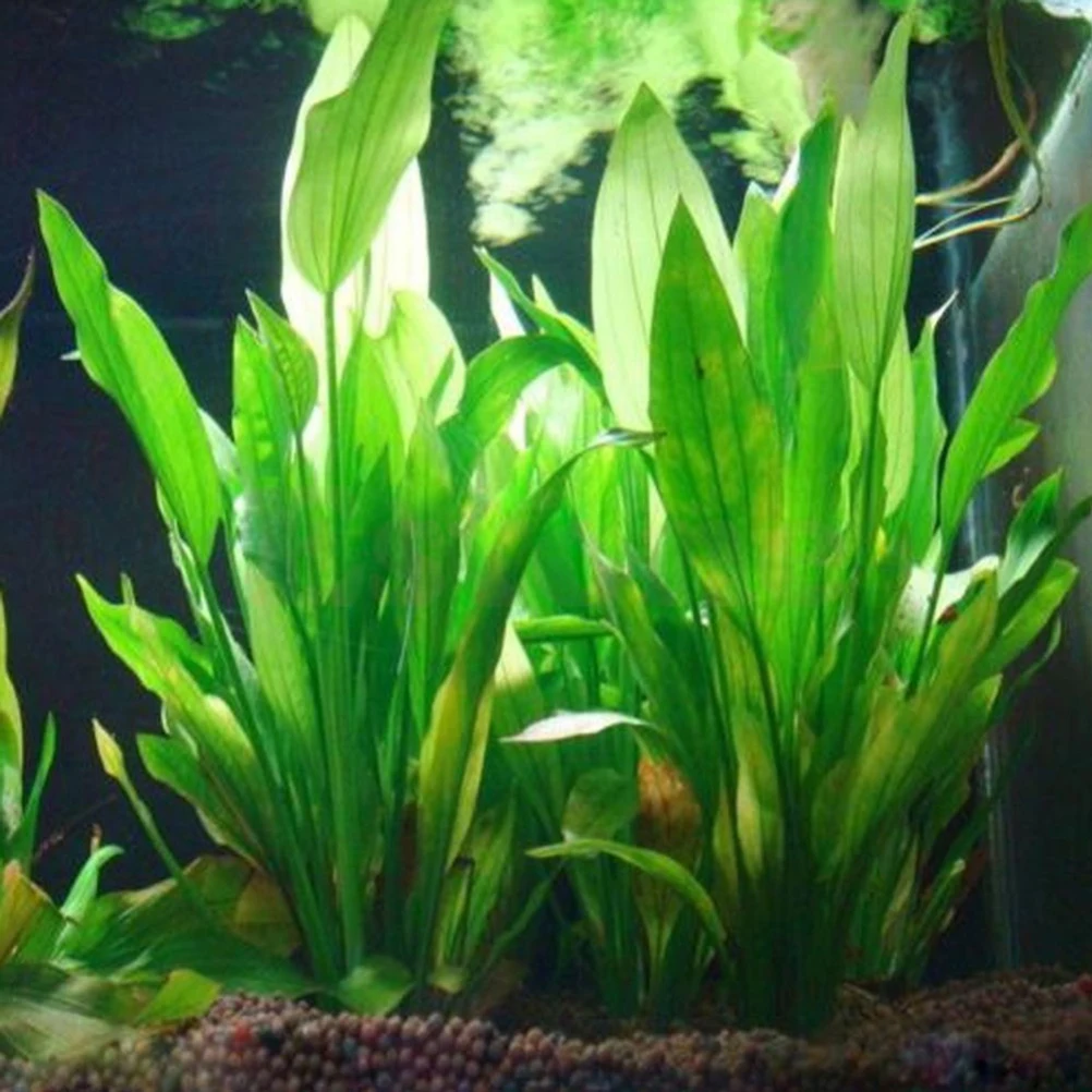 Подводное искусственное растение 15 см украшение для аквариума зеленая водная