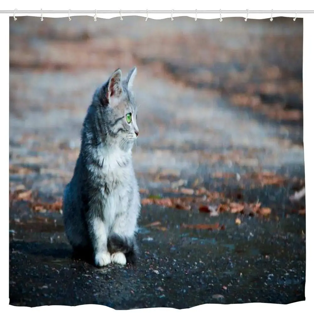 

Take Me with You Bathroom Shower Curtain Funny Shower Curtains Durable Bath Waterproof Bathroom