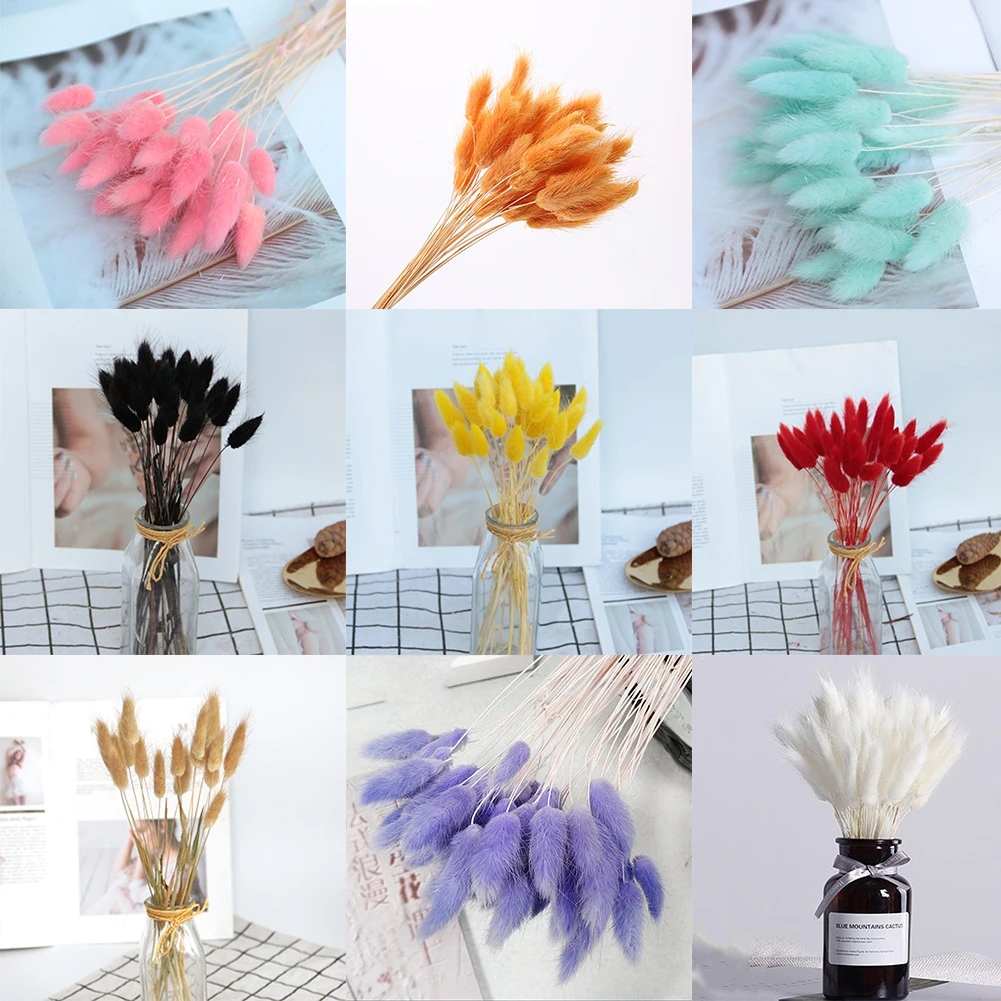 

NEW 20Pcs Rabbit Tail Grass Natural Dried Flowers For Home Decoration Flower Arrangement Lagurus Ovatus Real Flower Grass Props