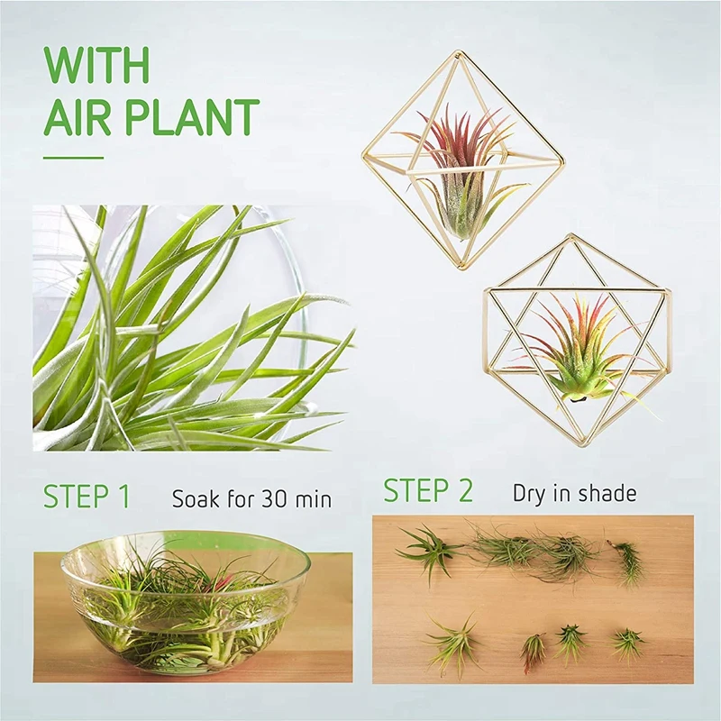 

6 Pcs Air Plant Holder Mini Metal Tabletop Decor Modern Geometric Planter Tillandsia Display Stand Himmeli Decor