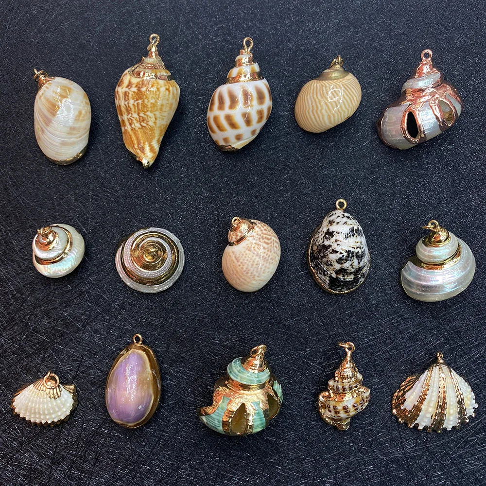 

Natural Shell Pendant Exquisite Conch Shell DIY Jewelry Making Accessories Bohemia Ladies Necklace Earring Pendant 10pcs/pack
