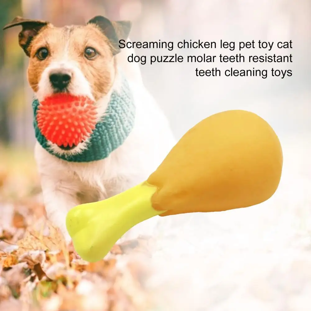 

50% Hot Sales!!! Chew Molar Toy Environmentally Friendly Novelty Functional Drumstick Chew Play Toy for Pet