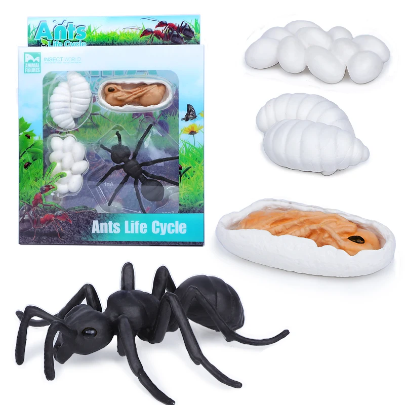 Имитация насекомых-лягушек жизненный цикл комаров модель черепахи муравьев