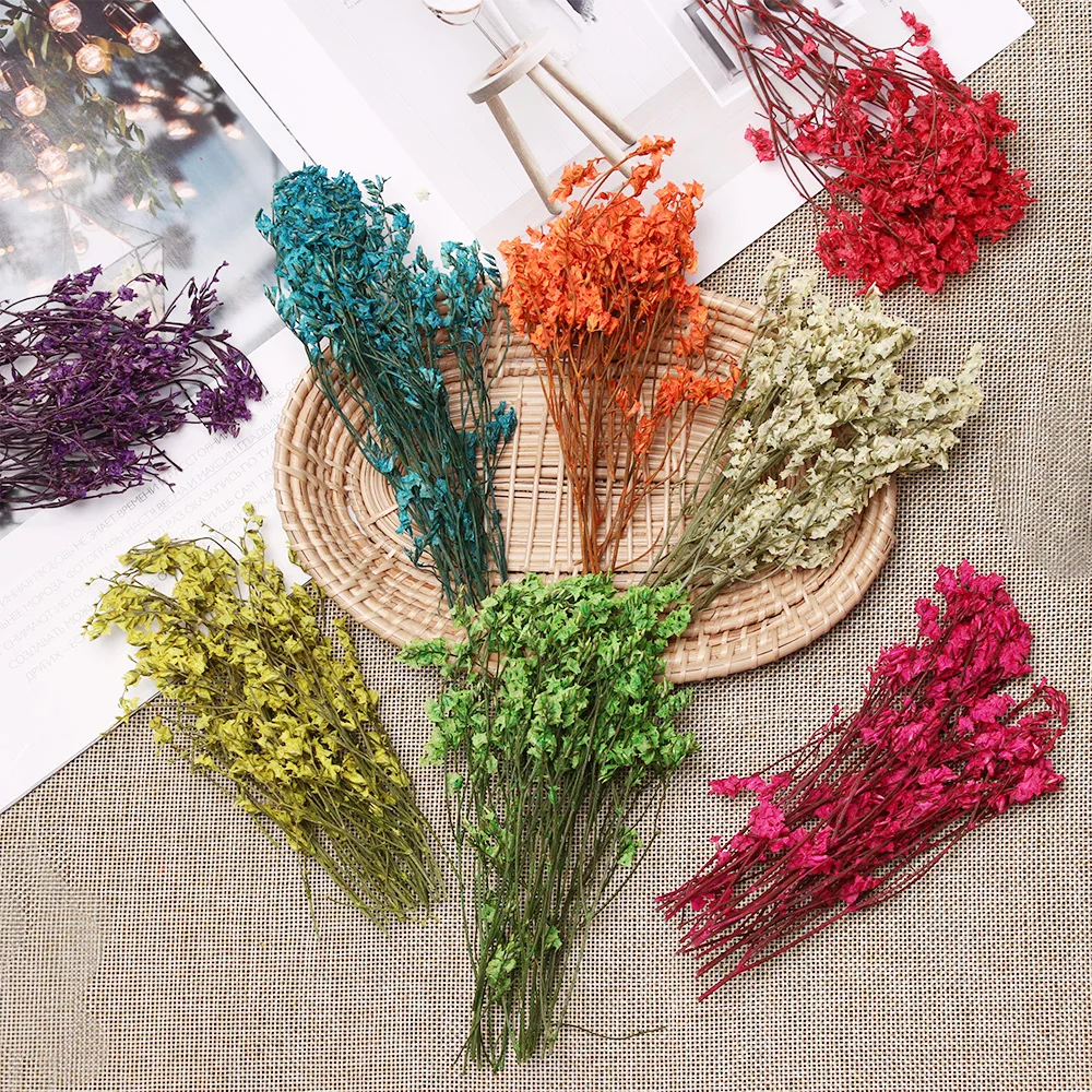 Красочные цветочные растения Хрустальная трава babysbreak для рукоделия Скрапбукинг