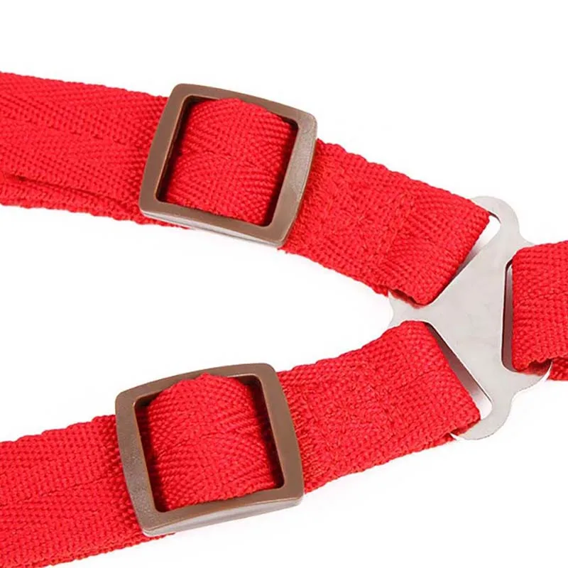 

Pet Supplies Soft and Durable 5-color Dog Collar Cat Necklace Light Weight Cat Vest Dog Harness 120cm Dog Outdoor Walking Leash