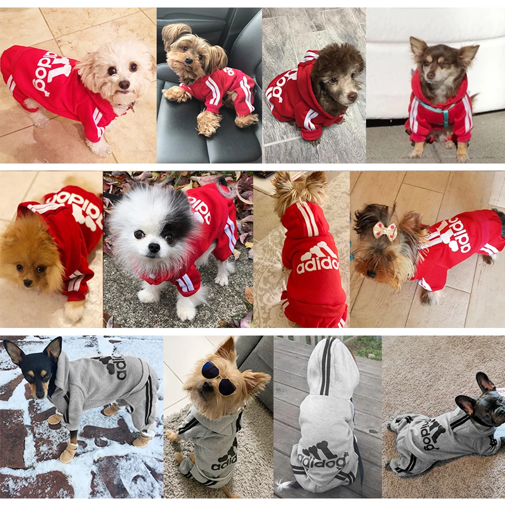 

Spring new sports pet clothes cat and dog hooded sweater warm sweater dog clothes dog coat pet two-legged clothes