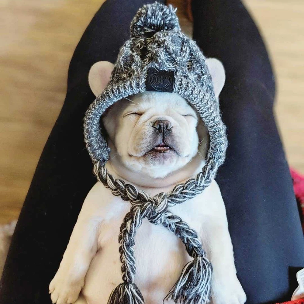 

Winter Dog Hat Classic Warm Pet Dog Knitted Warmth Hat for Medium Dogs B2Cshop
