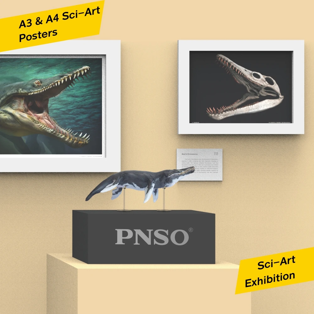 PNSO-modelo de arte cient&iacute;fico, Museo marino, JEFF, KRONOSAURUS 1:35-2