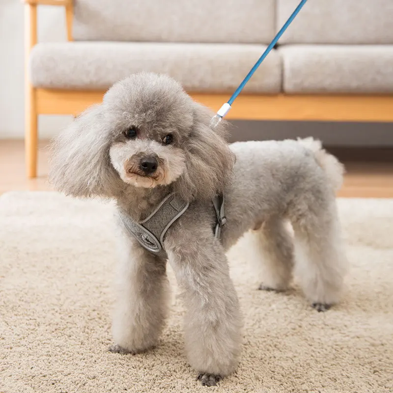 Идеально подходит X Жгут всепогодная сетка шаг в регулируемом жгуте для