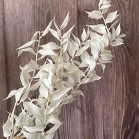 30g35 45cm decorative dried natural ruscus leaves branchreal dry rich and valuable flowers bouquet for home decorwedding