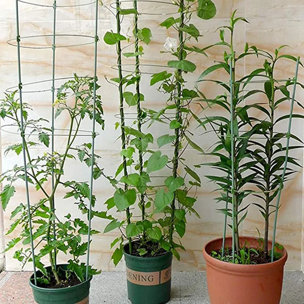 Plant Support Stakes Garden Single Stem Stake Cage Rings For Amaryllis Tomatoes Orchid Lily Peony | Дом и сад