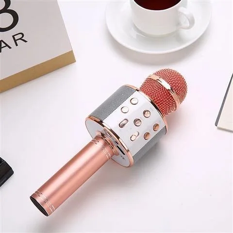 

Free Shipping Russia Stock Ws858 Microphone For Music Playing Singing Speaker Player