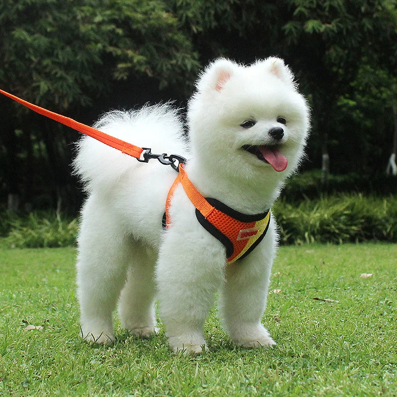 Поводок для собак Чихуахуа Мопс Маленькие Средние собаки нейлоновая сетка щенок