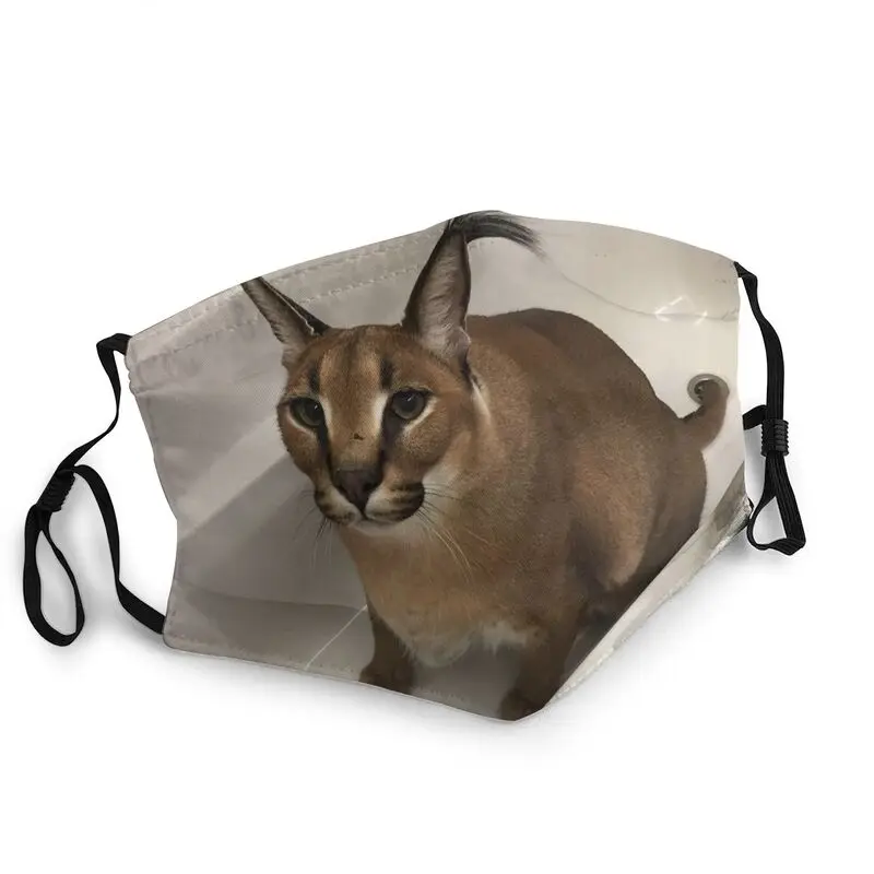 

Funny Big Floppa Meme Breathable Mouth Face Mask Unisex Adult Cute Caracal Cat Mask Anti Dust Protection Cover Respirator Muffle
