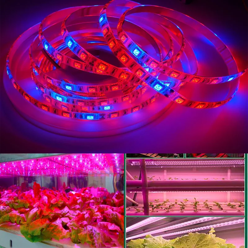 5M DC12V Plant Grow lights Full Spectrum LED Strip Light 300 LEDs 5050 Chip Red blue For Greenhouse Hydroponic plant