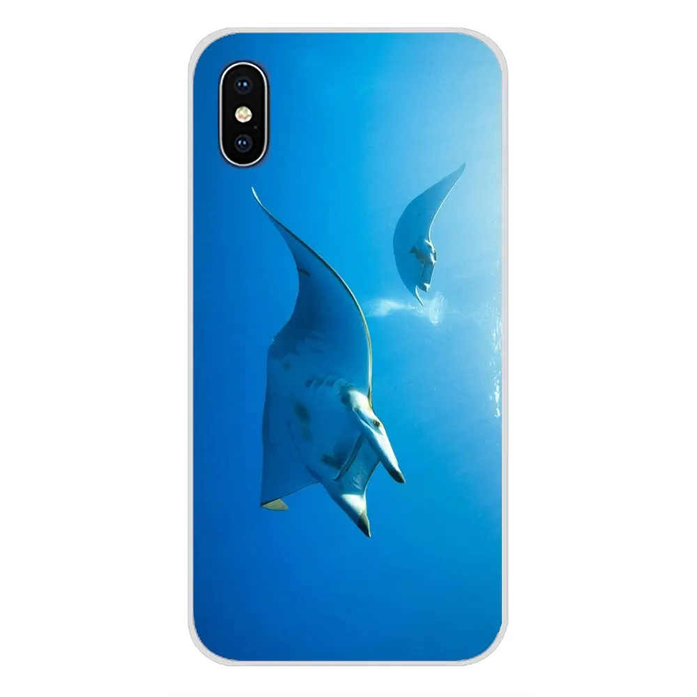 Аксессуары для телефонов Animal manta ray чехлы Samsung A10 A30 A40 A50 A60 A70 M30 Galaxy Note 2 3 4 5 8 9 10