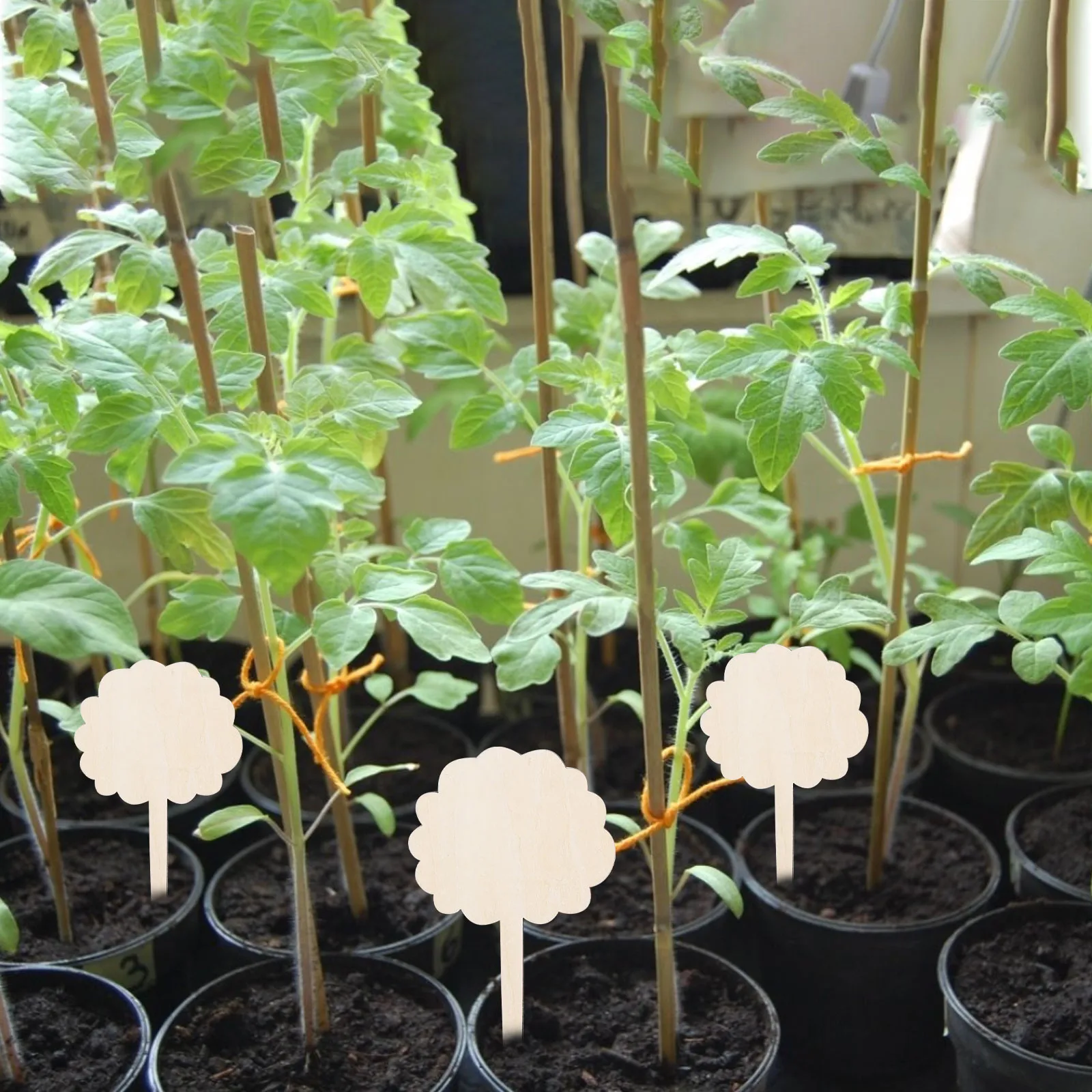 Деревянный Творческий садоводческий ярлыки для растений можете написать