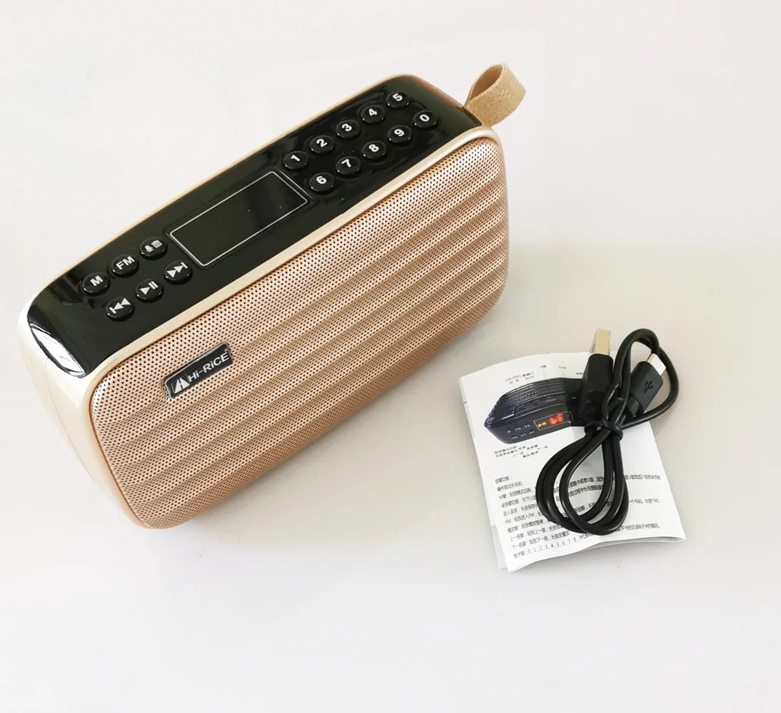 REC LED портативный FM/AM радио USB TF карта MP3 плеер цифровой динамик Bluetooth Hi Rice SD