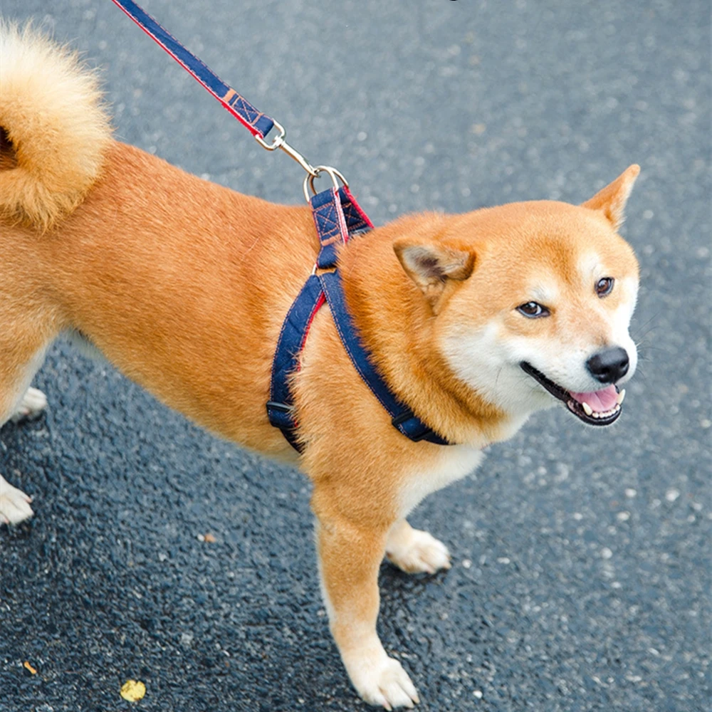 Яркая Тяговая веревка для щенков и кошек более прочная джинсовая ткань из