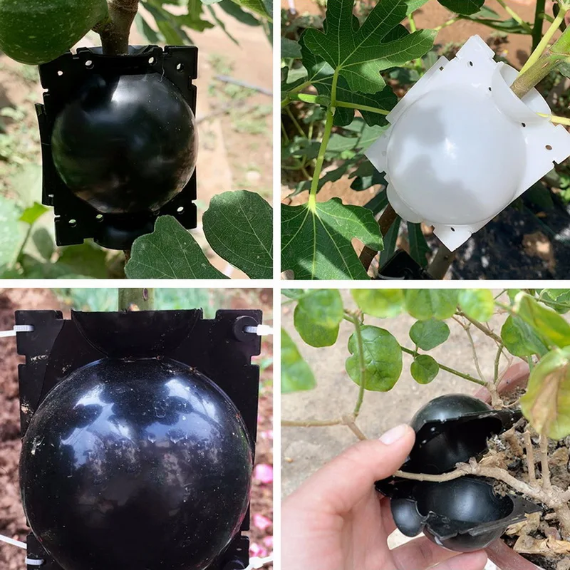 

1/2/3/5pcs Plant Rooting Ball Grafting Rooting Growing Box Breeding Case For Garden Plant High-pressure Propagation Box Sapling