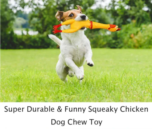

Wholesale 3pieces Screaming Chicken Squeeze Sound Toy Pets Dog Toys Shrilling Decompression Tool Squeak Vent chicken Toy 3 Size