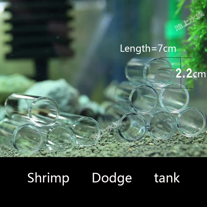 Прозрачный аквариум для разведения и скрывания креветок Dodge tank|Декорации| |
